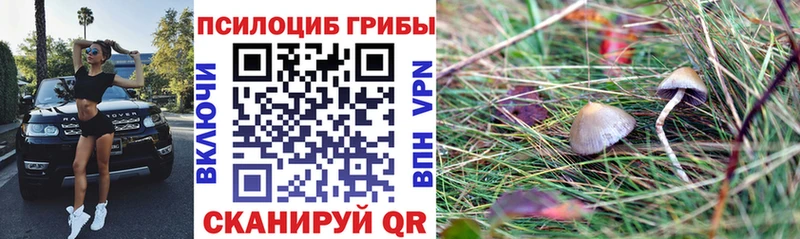 Псилоцибиновые грибы Magic Shrooms  нарко площадка официальный сайт  Кызыл 